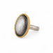 Obsidian ring with gold setting and silver band on a white background