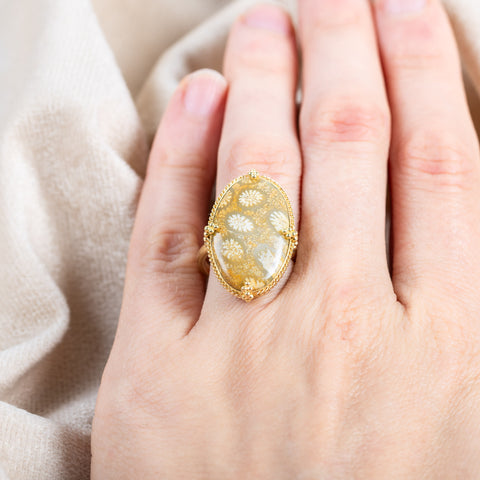 Fossilized coral ring on model