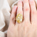 Fossilized coral ring on model