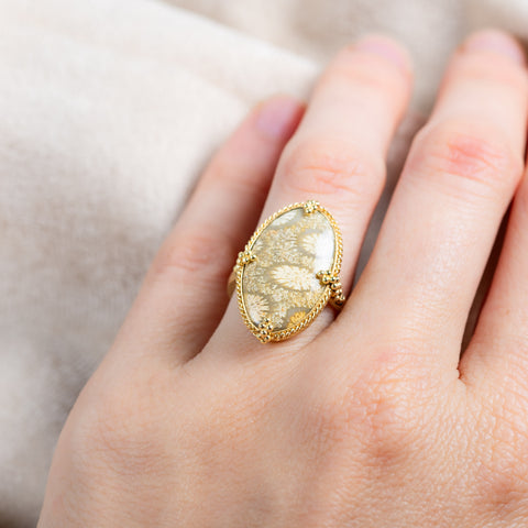 Fossilized coral ring on a model