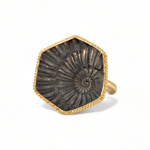 Pyratized ammonite negative ring in hexagon shape