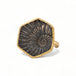 Pyratized ammonite negative ring in hexagon shape
