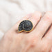 Pyratized Ammonite Negative Ring on model