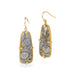 Gold earrings featuring fossilized coral gemstones on white background