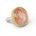 Ring with gold bezel, silver band and lodolite stone on a white background
