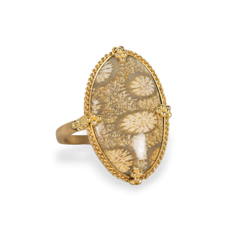Fossilized coral ring on white background