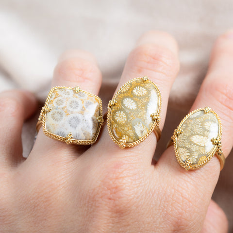 Group of fossilized coral rings