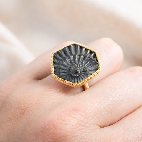 Pyratized ammonite ring on model side view