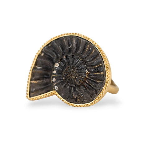 Pyratized Ammonite Negative Ring