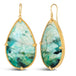 Blue Opal Petrified Wood Earrings